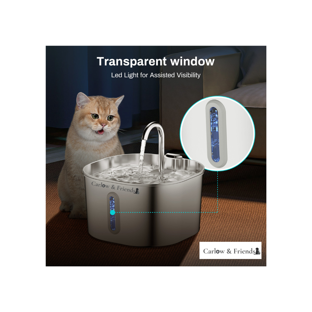 Carlow & Friends - Pet Water Fountain