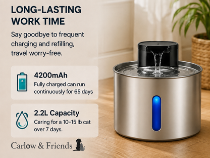 Carlow & Friends - Pet Water Fountain