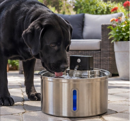 Carlow & Friends 2.2L Cordless Pet Water Fountain + FREE 3-Pack of Filters