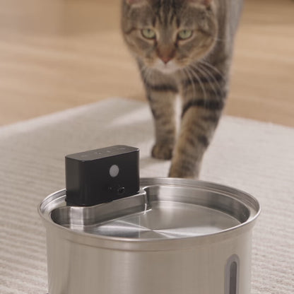 Carlow & Friends 2.2L Cordless Pet Water Fountain + FREE 3-Pack of Filters