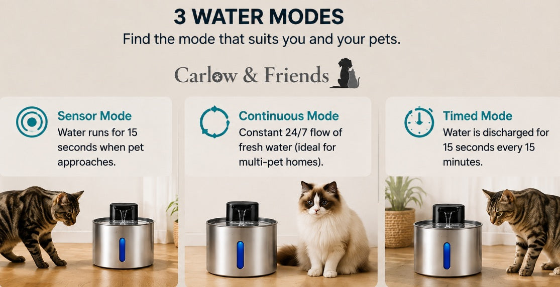 Carlow & Friends - Pet Water Fountain